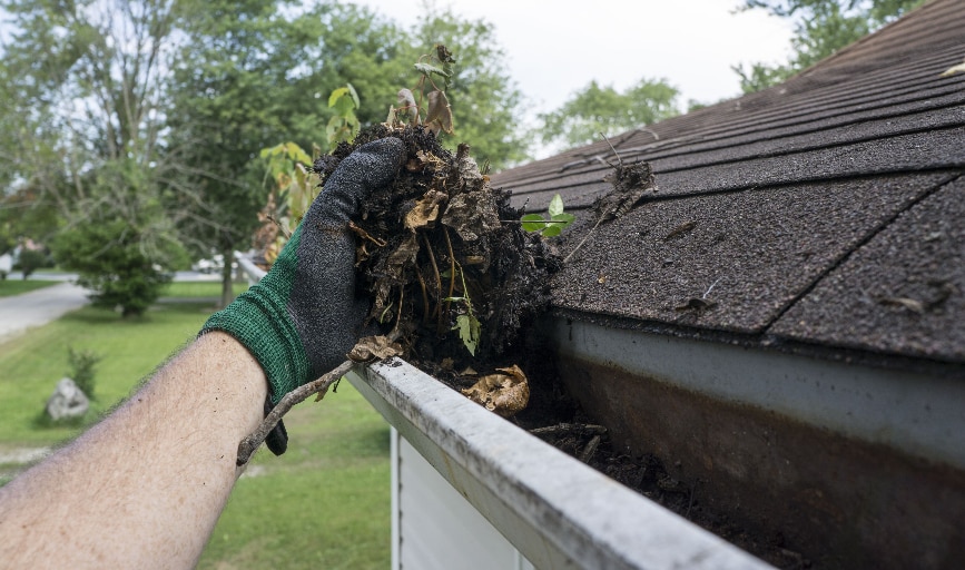 Gutter Cleaning