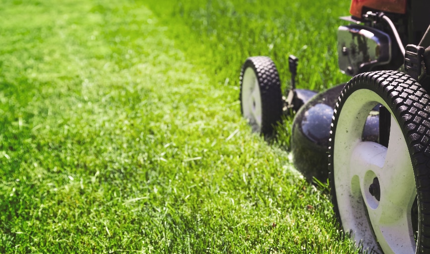 Lawn Care